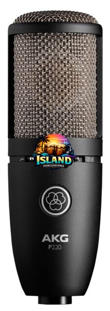 AKG P220 Perception High-Performance Condenser Microphone