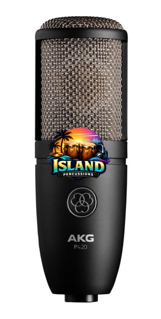 AKG P420 Perception High-Performance Multi-Pattern Condenser Microphone