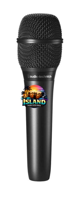 Audio-Technica AT2010 Handheld Condenser Vocal Microphone