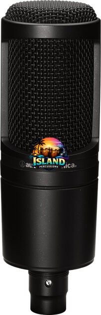 Audio-Technica AT2020 Studio Condenser Microphone