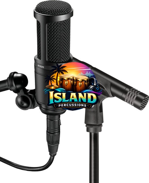 Audio-Technica AT2041 Studio Microphone Package