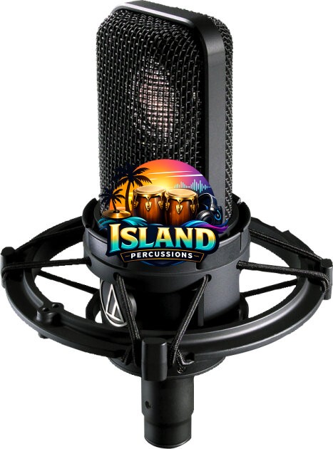Audio-Technica AT4040 Cardioid Condenser Microphone with Shock Mount