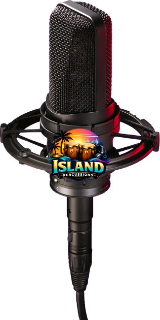 Audio-Technica AT4050 Studio Condenser Microphone
