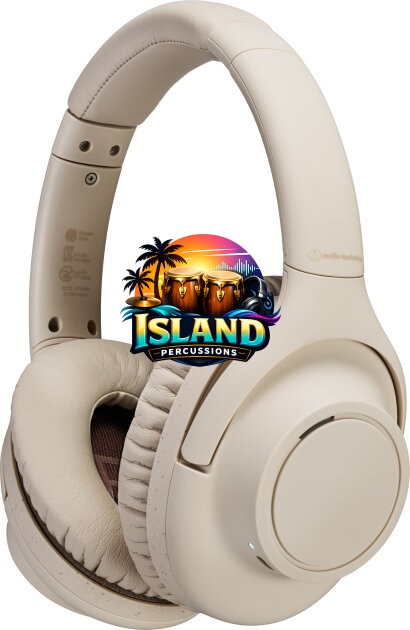 Audio-Technica ATH-S300BT Wireless Headphones