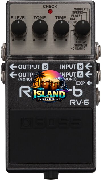Boss RV-6 Digital Reverb Pedal