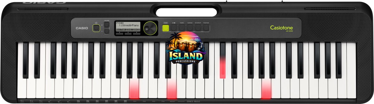 Casio LK-S250 Casiotone Portable Electronic Keyboard with Lighted Keys