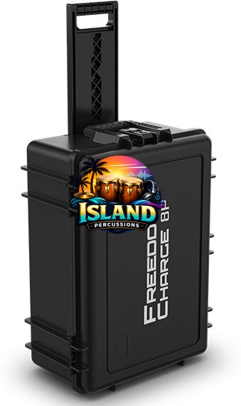Chauvet DJ Freedom Charge 8P Case for Freedom PARs