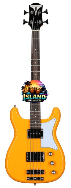 Epiphone Newport Bass Guitar