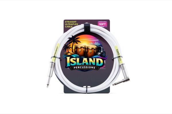 Ernie Ball Guitar Cable (Straight to Angle)