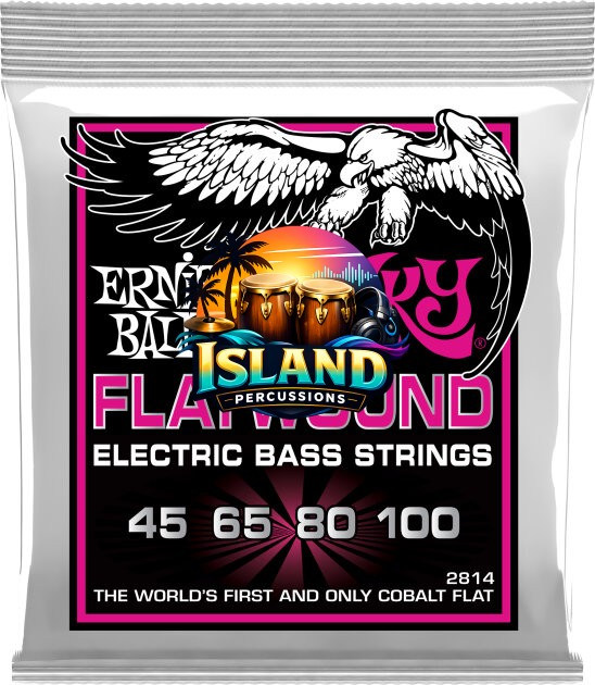 Ernie Ball Slinky Flatwound Electric Bass Strings