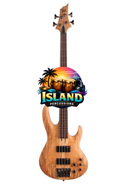 ESP LTD B-204SM Fretless Electric Bass