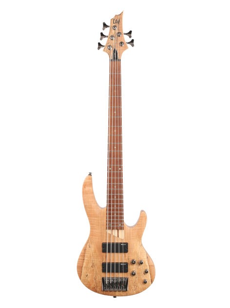 ESP LTD B205SM Electric Bass, 5-String