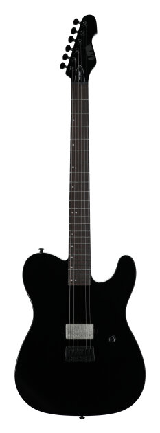 ESP LTD TE-201 Electric Guitar