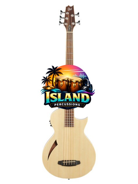 ESP LTD TL5 Thinline Acoustic-Electric Bass
