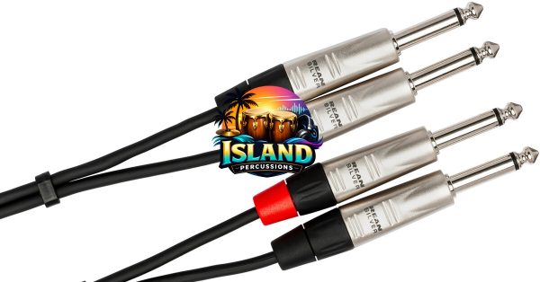 Hosa Pro Dual REAN 1/4 Inch TS Stereo Interconnect Cable