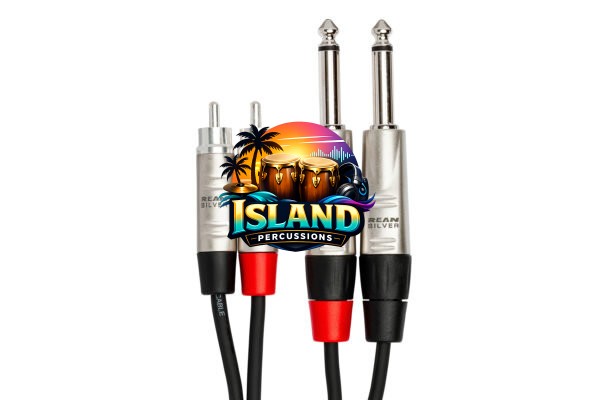 Hosa Pro Unbalanced Dual REAN 1/4 Inch TS to RCA Stereo Interconnect Cable