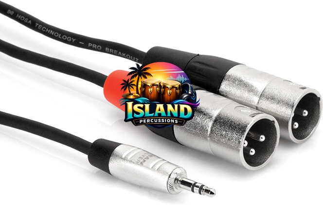 Hosa REAN Pro Stereo Breakout Mini TRS to Dual XLR Male Cable