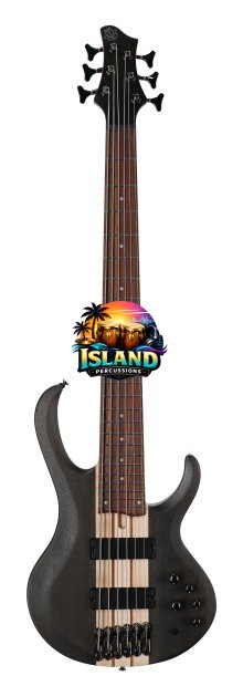 Ibanez BTB606 Electric Bass, 6-String