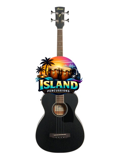 Ibanez PCBE14MH Performance Acoustic-Electric Bass