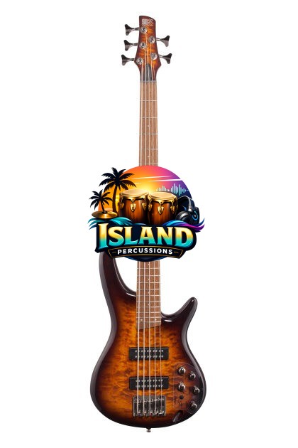 Ibanez SR405EQM Electric Bass, 5-String