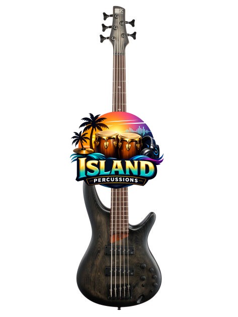 Ibanez SR605E Electric Bass, 5-String