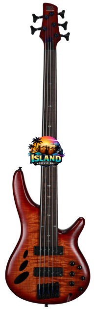 Ibanez SRD905F Bass Workshop Fretless Electric Bass