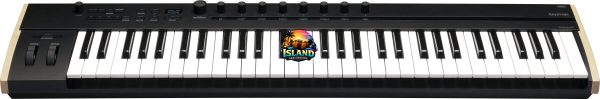 Korg Keystage 61 USB MIDI Keyboard Controller, 61-Key