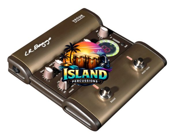 LR Baggs Venue DI Acoustic Guitar Preamp