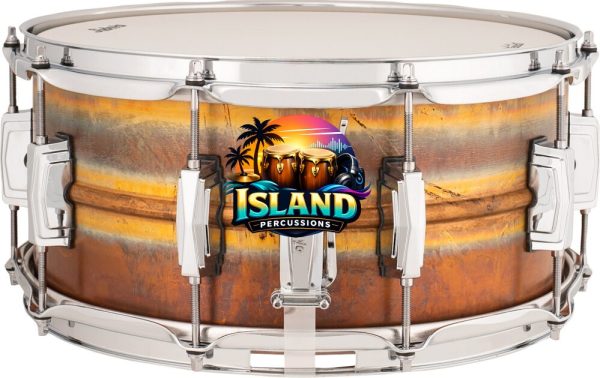 Ludwig LB552R Raw Bronze Snare Drum