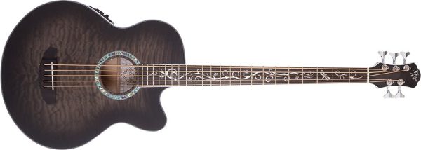 Michael Kelly Dragonfly 5 Acoustic-Electric Bass Guitar, 5-String, Pau Ferro Fingerboard