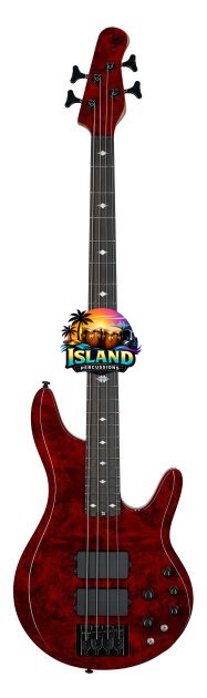 Michael Kelly Pinnacle 4 Electric Bass