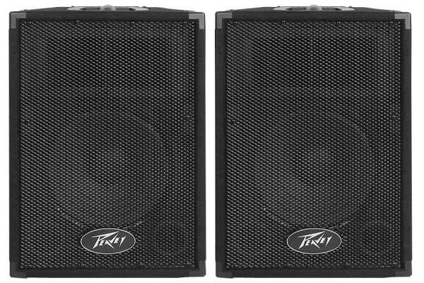 Peavey PVi 10 Passive, Unpowered PA Speakers (100 Watts, 1x10")