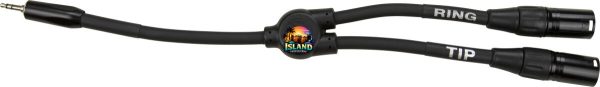 Pig Hog Y Cable (3.5 mm to Dual XLR Male)