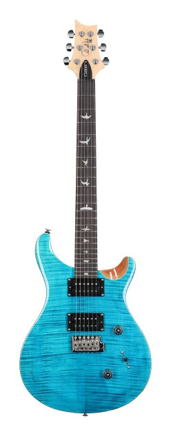 PRS Paul Reed Smith SE Custom 24 Electric Guitar (with Gig Bag)