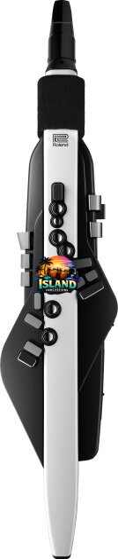 Roland AE-20 Aerophone Wind Instrument