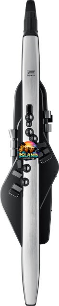 Roland AE-30 Aerophone Pro Wind Instrument