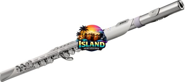 Roland Aerophone Brisa Digital Wind Instrument