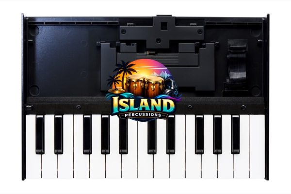 Roland K-25m USB MIDI Keyboard Dock, 25-Key