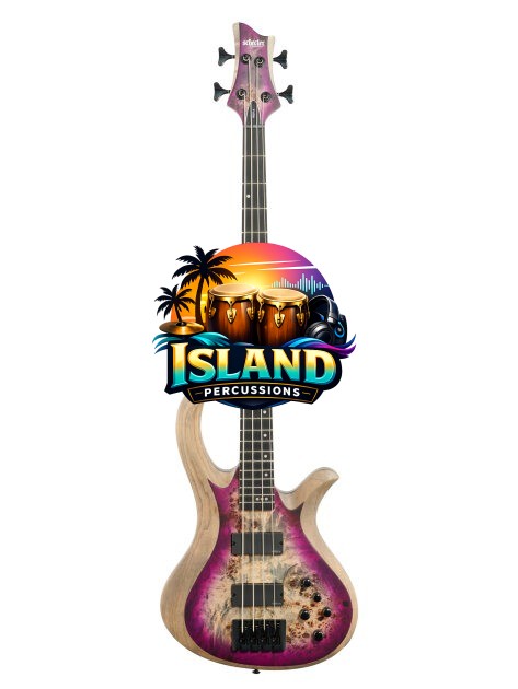 Schecter Riot-4 Electric Bass