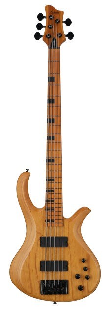 Schecter Session Riot 5 Electric Bass