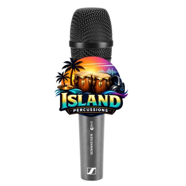 Sennheiser e845 Supercardioid Dynamic Handheld Microphone