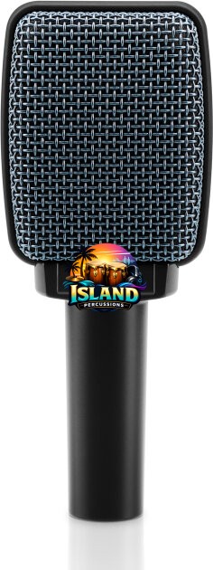 Sennheiser e906 Instrument Microphone