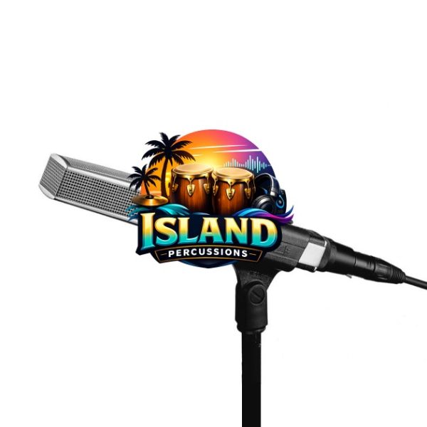 Sennheiser MD-441 Dynamic Super-Cardioid Microphone