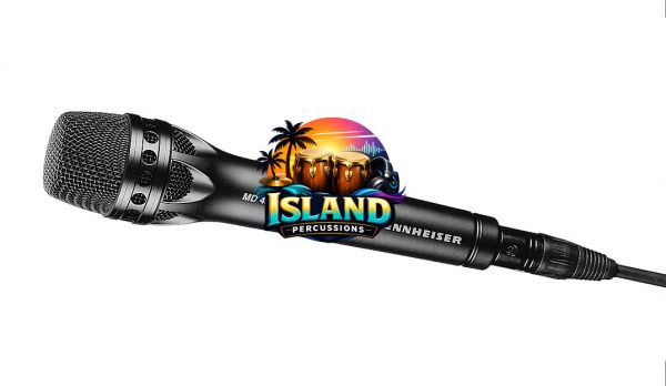 Sennheiser MD431 II Handheld Supercardioid Vocal Microphone