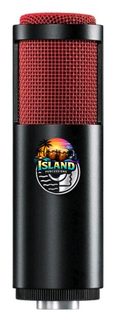 Shure KSM313/NE Dual Voice Ribbon Microphone