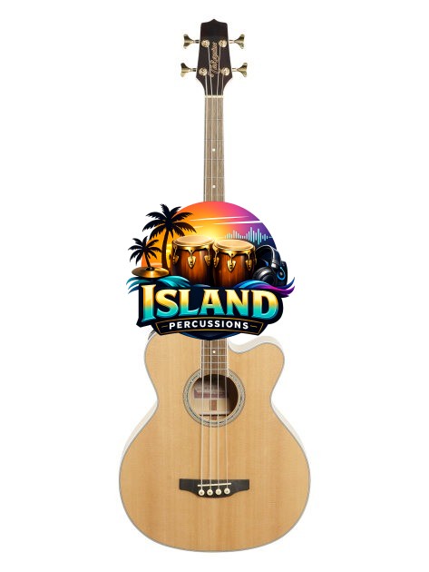Takamine GB72CE Jumbo Acoustic-Electric Bass