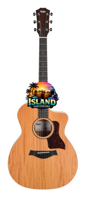 Taylor 24ce Grand Auditorium Acoustic-Electric Guitar
