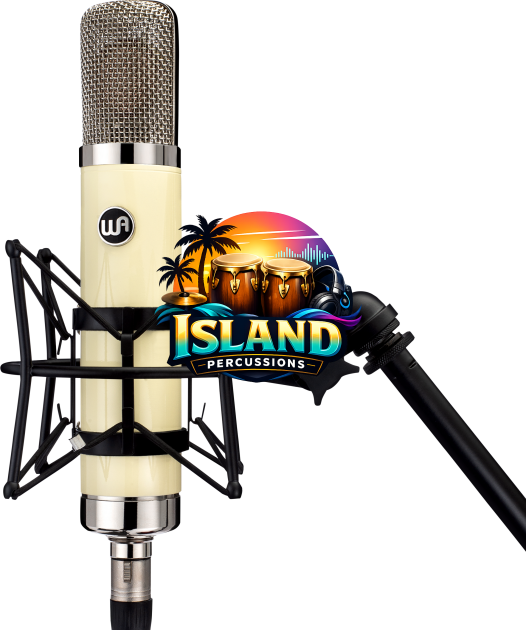 Warm Audio WA-251 Large-Diaphragm Tube Condenser Microphone