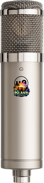 Warm Audio WA-47jr SE Large-Diaphragm Condenser Microphone