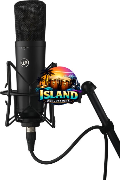 Warm Audio WA-87 R2 Large-Diaphragm Condenser Microphone